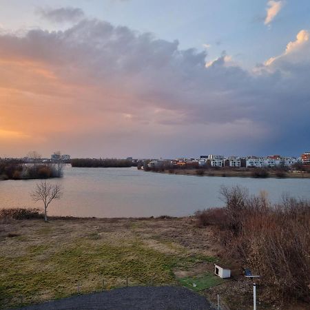 Herastrau Park Bükreş Dış mekan fotoğraf